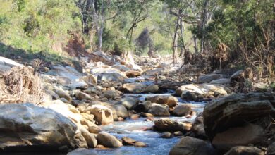 CHIMANIMANI: A importância ecológica do rio Mussapa