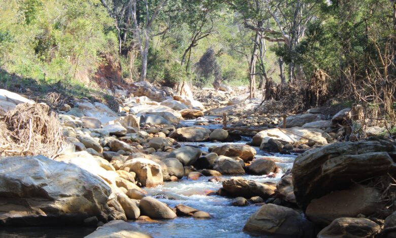 CHIMANIMANI: A importância ecológica do rio Mussapa