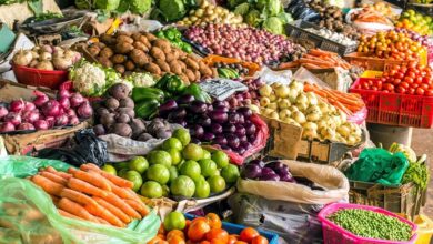 Crédito desajustado penaliza agro-negócio