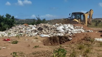 DETERIORADOS PELAS INUNDAÇÕES: Produtos alimentares enterrados em Xai-Xai