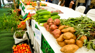 EM 2025: Comercializadas cerca de 23 milhões de toneladas de produtos agrícolas