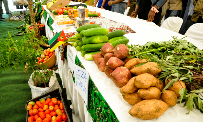 EM 2025: Comercializadas cerca de 23 milhões de toneladas de produtos agrícolas
