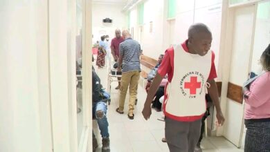 EM APENAS SEIS SEMANAS: Gaza regista mais de 12 mil casos de malária