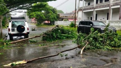 “GEZANI” deixa rasto de destruição em Madagáscar