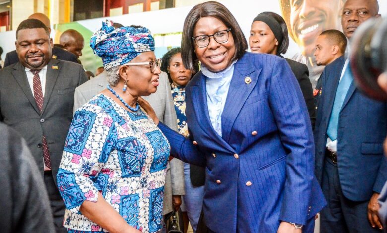 INTEGRAÇÃO NAS CADEIAS DE VALOR: Primeira-Ministra defende estabilidade do comércio africano