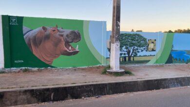 Inaugurado primeiro mural ambiental em Marracuene‎