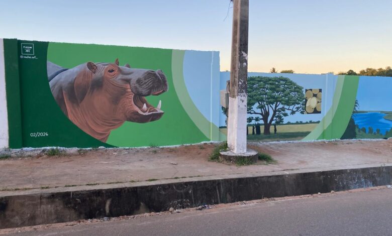 Inaugurado primeiro mural ambiental em Marracuene‎