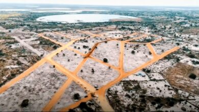 PR entrega talhões infra -estruturados em Matutuíne