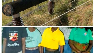 Vandalizados 12 postes de energia em Inhambane