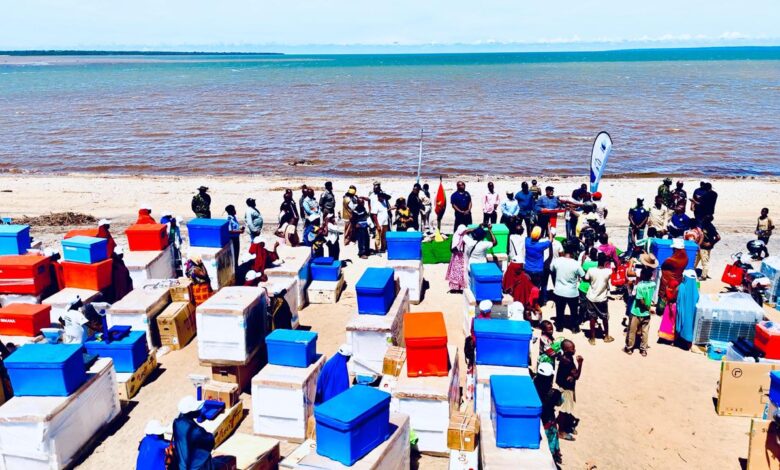‎Reforçada pesca artesanal feminina em Memba‎‎