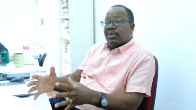FELICIANO CHIMBUTANE AO domingo: Multilinguismo é fazermos moçambicanidade com português e línguas moçambicanas