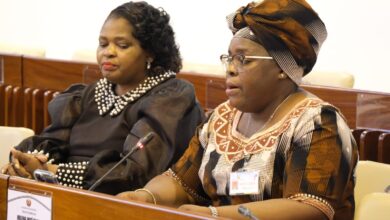 FRELIMO: Revisão da Lei promove desenvolvimento inclusivo