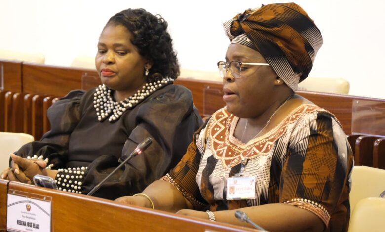 FRELIMO: Revisão da Lei promove desenvolvimento inclusivo
