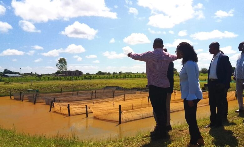 Investidos USD 120 milhões em projectos de aquacultura
