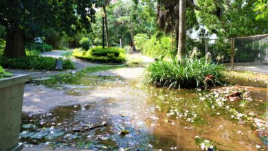 Jardim Tunduru: o pulmão está sufocado