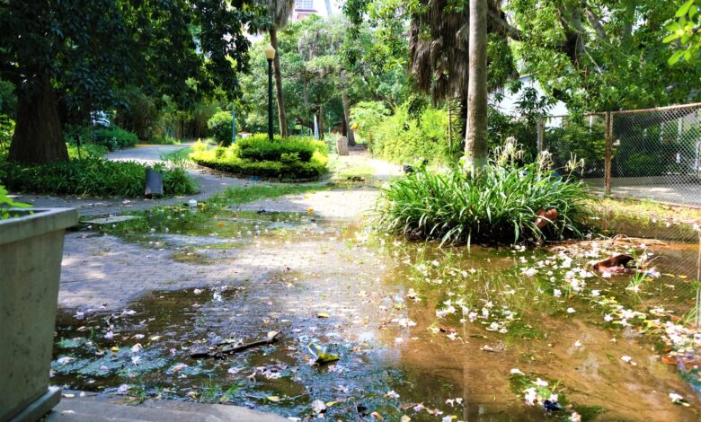 Jardim Tunduru: o pulmão está sufocado