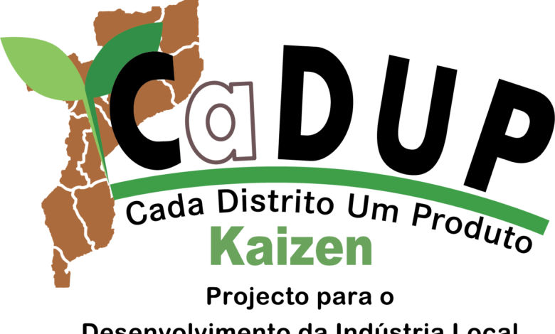 Mais de mil empresas nacionais beneficiam do projecto CaDUP Kaizen desde 2022
