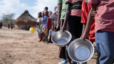 Mais de sete mil famílias ameaçadas de insegurança alimentar em Massingir