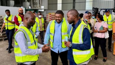 Moçambique aposta na produção nacional para promover industrialização sustentável