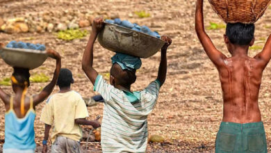 Combate à exploração: Nampula Resgata 34 Crianças do Trabalho Infantil no Primeiro Trimestre