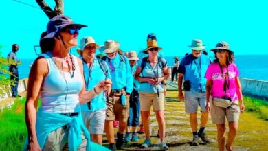 Cruzeiro com mais de 200 turistas faz escala na Ilha de Moçambique