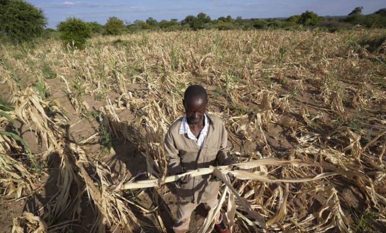 Efeitos climáticos ameaçam segurança alimentar em Tete