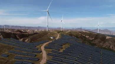 Moçambique aposta na experiência da China para impulsionar energia limpa