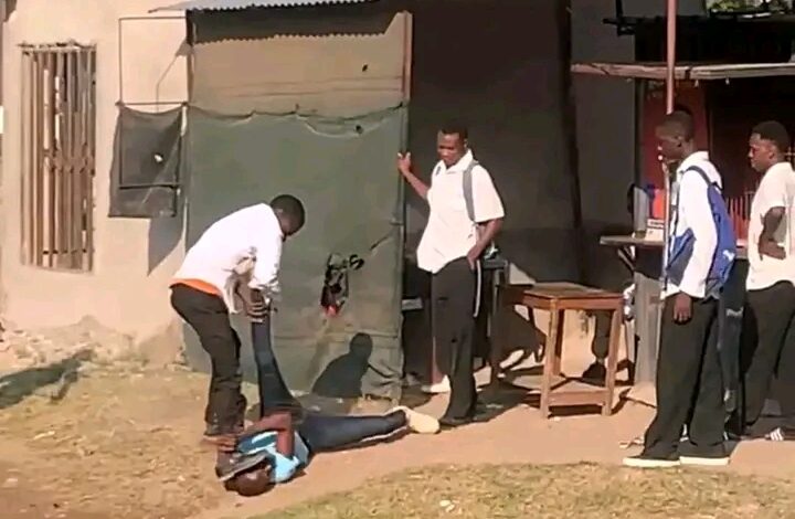 NA ESCOLA SECUNDÁRIA DA LIBERDADE: Destacada equipa para aferir briga entre aluno e professor