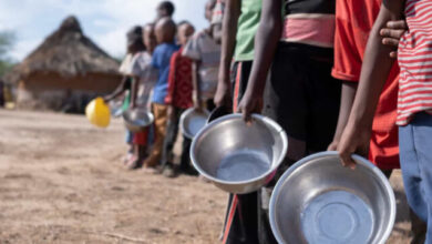 Redução de donativos agrava crise alimentar às vítimas das cheias, em Mandlakazi