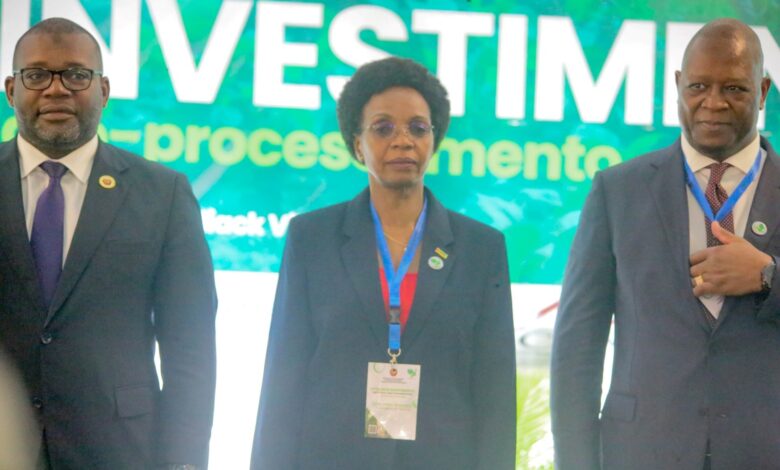 Transformar Moçambique num centro logístico preferencial