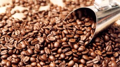 Café da Gorongosa recebe pontuação notável