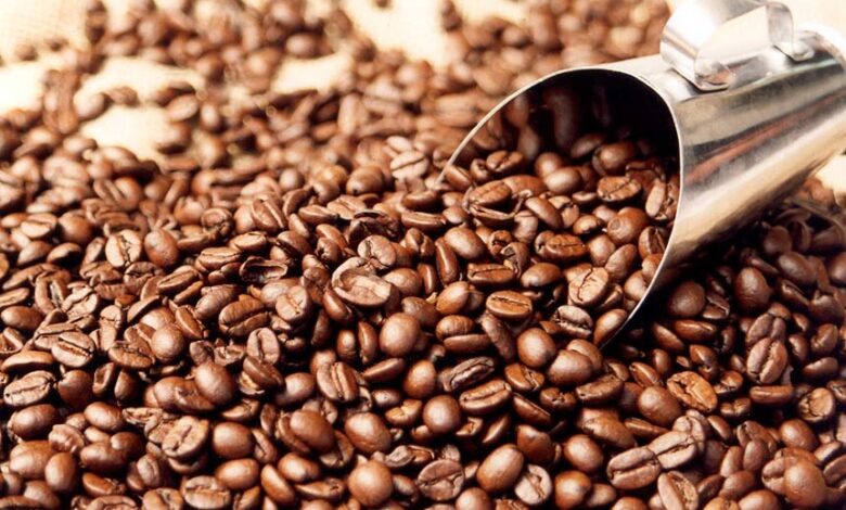 Café da Gorongosa recebe pontuação notável