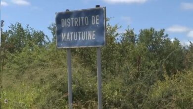 Empresários chineses investem em parques industriais na Província de Maputo