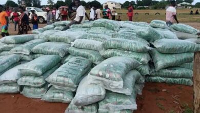 Governo apoia agricultores afectados pelas cheias em Gaza