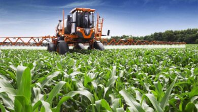 Ministério da Economia lança Campanha de Comercialização Agrícola 2026 em Ribáuè