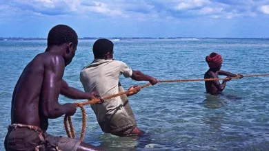 Pescadores denunciam impacto da exploração mineira na pesca na Zambézia