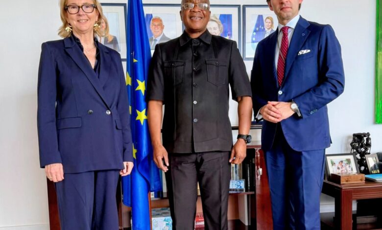 Forquilha reúne-se com directora-geral para África do Serviço Europeu de Acção Externa