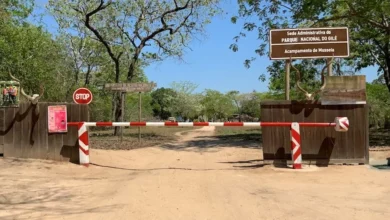 Governo mobiliza cerca de dois mil milhões para conservação da biodiversidade no Parque Nacional de Gilé