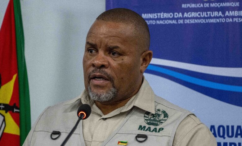 Governo realiza missão exploratória em Sofala no âmbito do MozAgriBiz