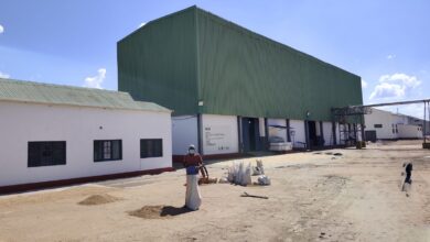 Mais empreendimentos de agroprocessamento para Cuamba
