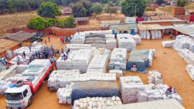 Niassa dispõe de mais de 17 mil toneladas para reforçar segurança alimentar
