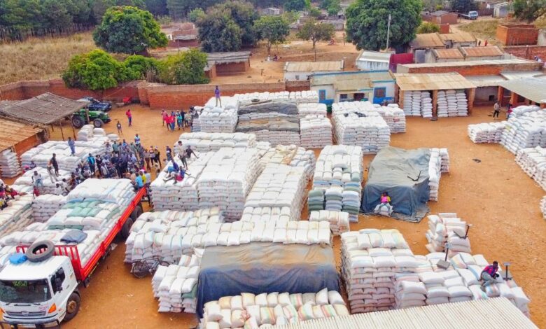 Niassa dispõe de mais de 17 mil toneladas para reforçar segurança alimentar