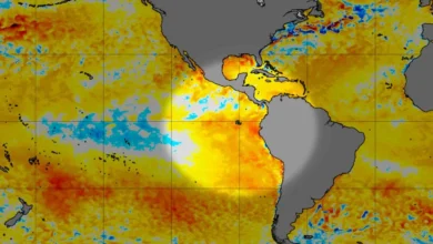 Moçambique entre os 12 países africanos que vão beneficiar de apoio da ONU para enfrentar o El Niño