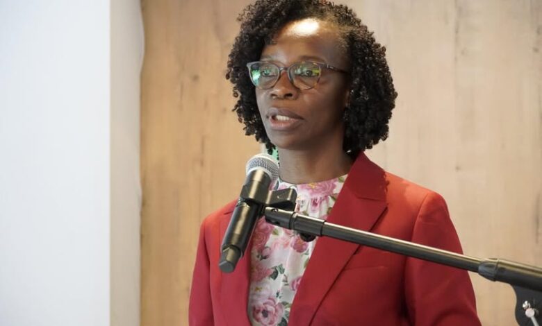 Protecção das mulheres viúvas deve ser responsabilidade colectiva, afirma Ministra do Trabalho