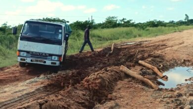 Sofala: Retomaram as obras de asfaltagem da Estrada Tica-Búzi