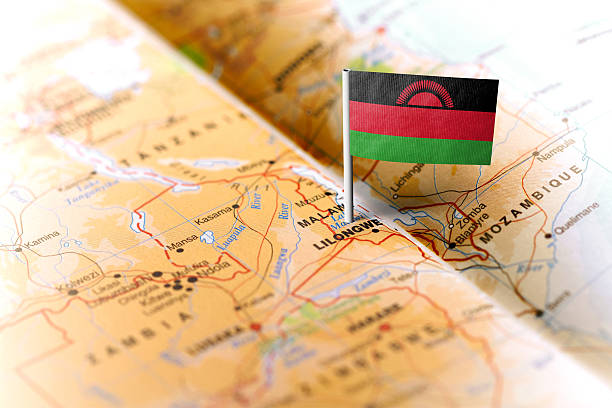 Malawi perde cerca de 250 mil hectares de floresta por ano
