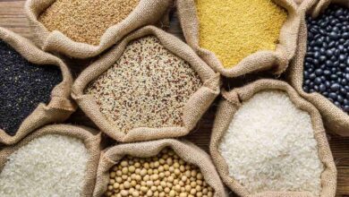 China abre mercado para produtos moçambicanos