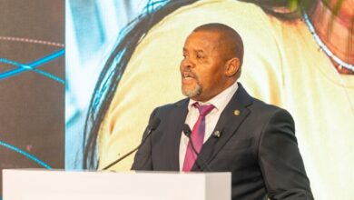 Governo quer transformar Moçambique em centro de produção agrícola com aposta em tecnologia e investimento