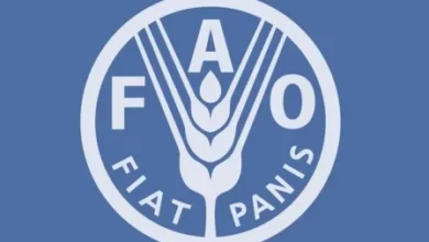 FAO e PMA apelam ao reforço de investimentos antecipados para proteger comunidades dos efeitos do El Niño