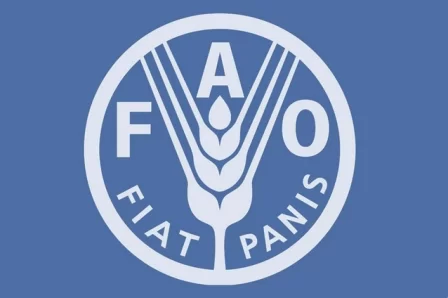 FAO e PMA apelam ao reforço de investimentos antecipados para proteger comunidades dos efeitos do El Niño
